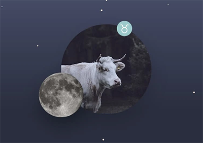 金牛座全面分析 金牛座全面分析