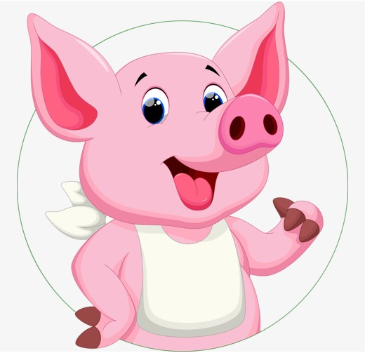 双鱼座属猪的人性格解析 双鱼座属猪的人性格解析