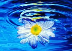 十二星座攻心策:巨蟹女