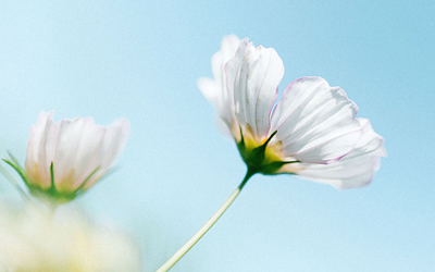 十二星座攻心策:处女男 十二星座攻心策:处女男