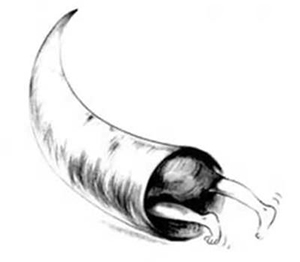 金牛女缺点一览表 金牛女缺点一览表