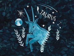 任性也温柔(金牛座女人)