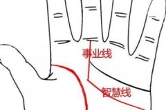 事业线从智慧线开始处上升
