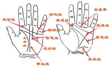 看手相为什么男左女右