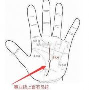事业线有岛纹代表什么意思