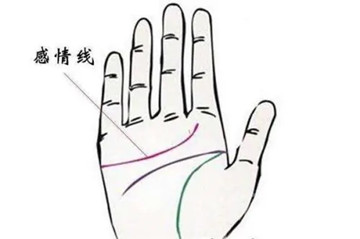 不同感情线体现什么样的感情运势