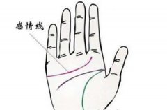 不同感情线体现什么样的感情运势