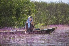 情史多的女人面相