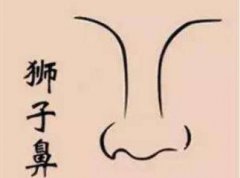 狮子鼻的女人适合做生意吗