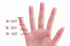 小拇指纹路代表什么