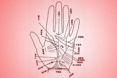 女孩断掌纹代表什么 固执极端婚姻不顺